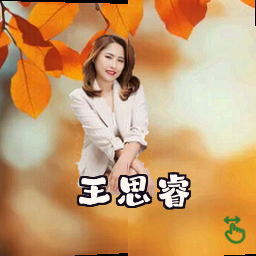 王思睿